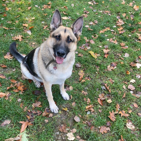 Meet your Posher, Danyell - Picture 2 of 6